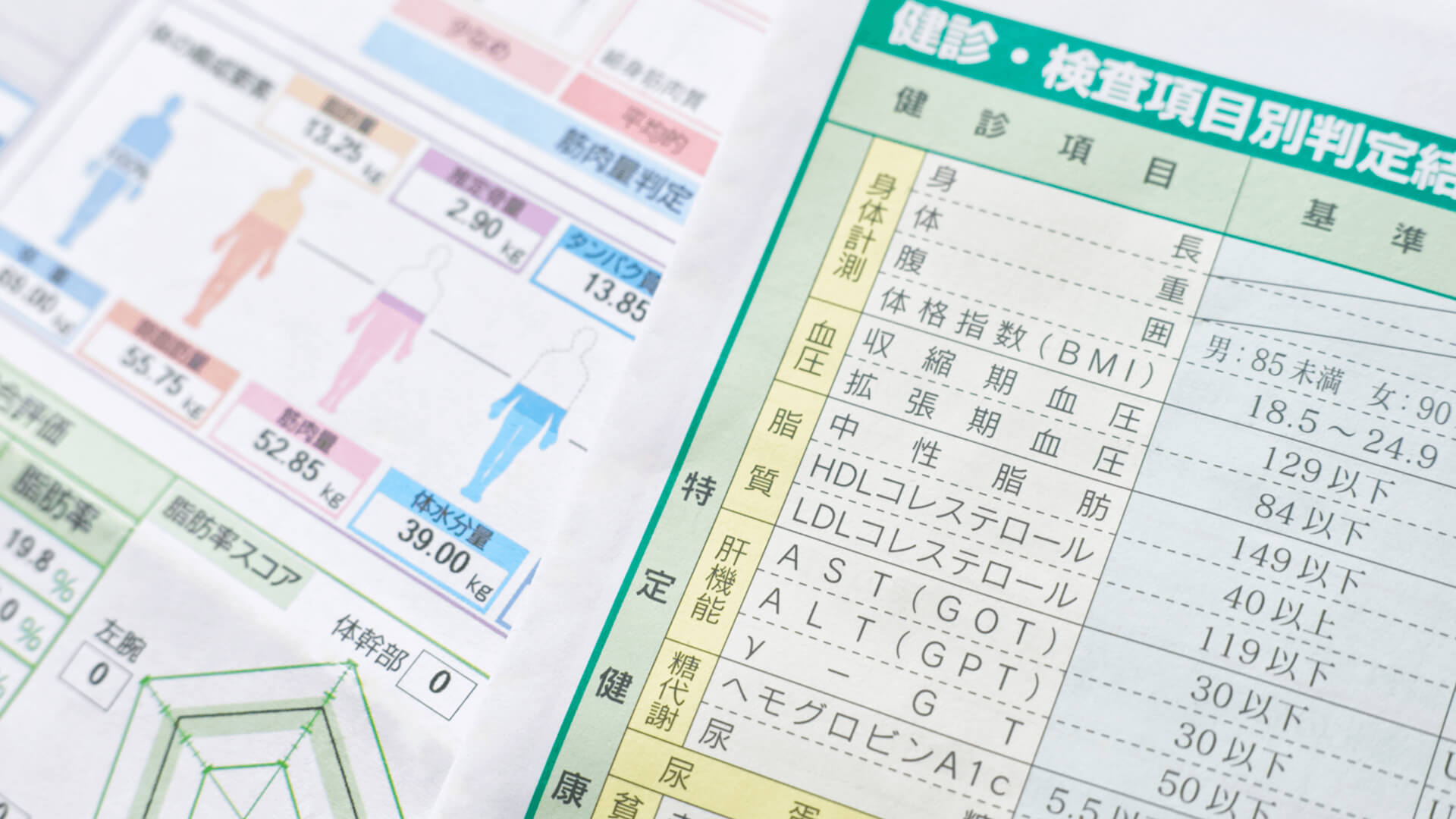 健康診断表サンプル